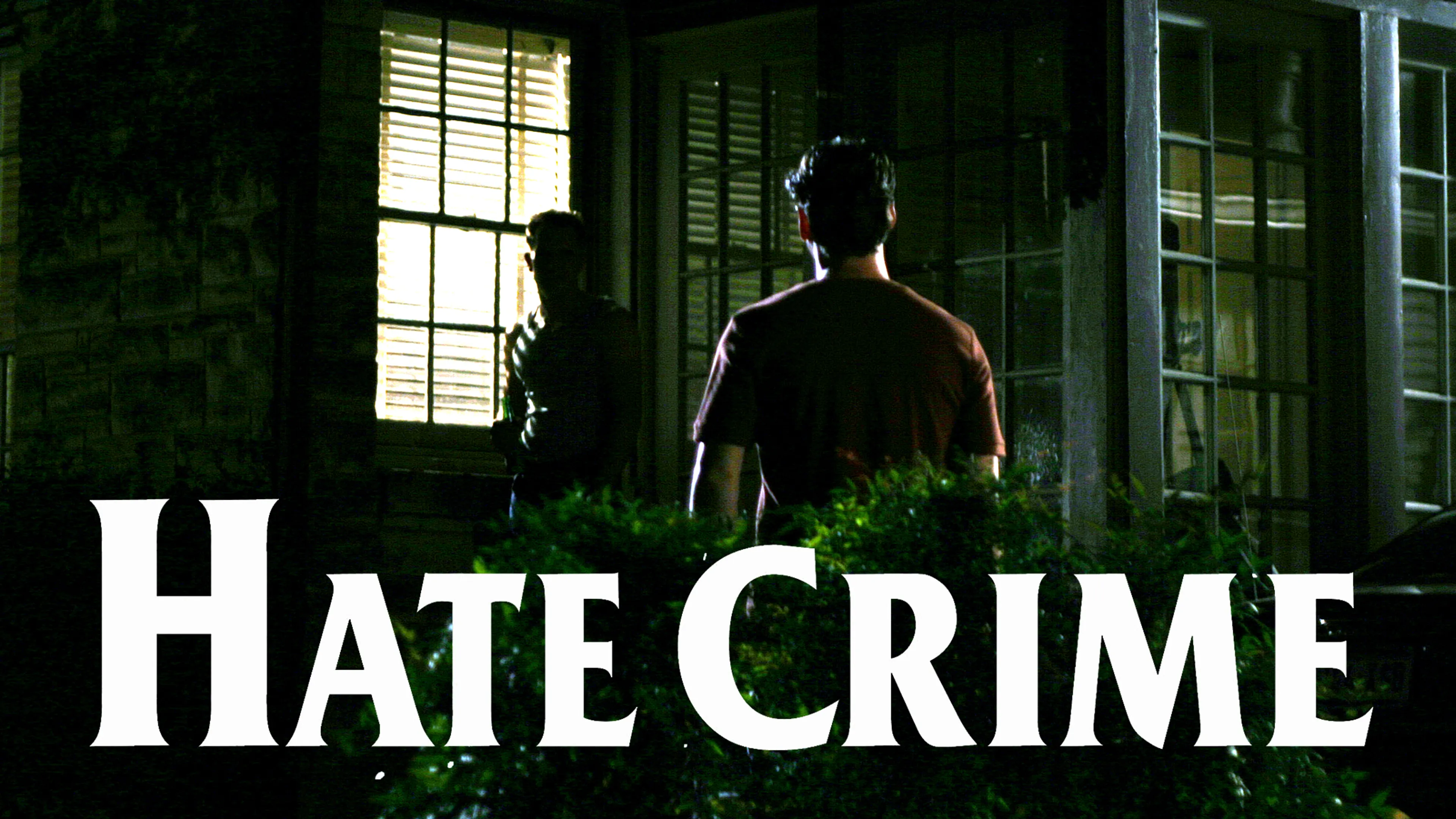 Hate Crime poster
